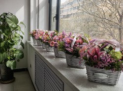 魅力女神節(jié)----花藝沙龍